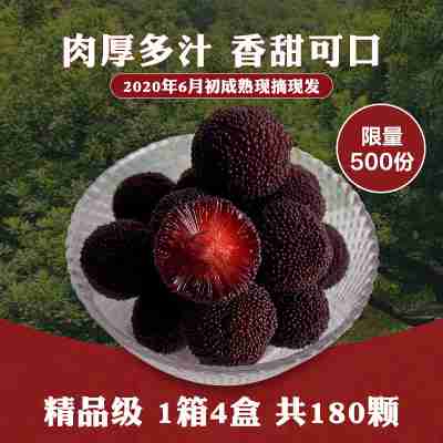 【预售】余姚慈溪杨梅新鲜当季水果现摘现发净重3.5斤顺丰包邮